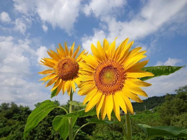 介護老人保健施設 遊心苑（常勤）の看護師求人メイン写真3