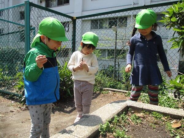 コンビプラザ白金台保育園（常勤）の保育士求人メイン写真1