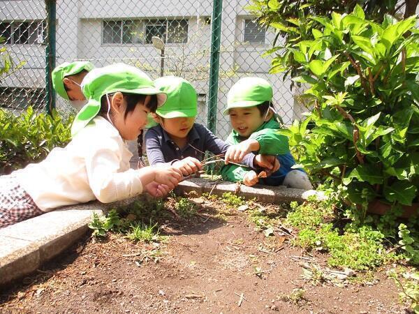 コンビプラザ白金台保育園（常勤）の保育士求人メイン写真2