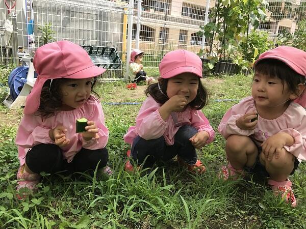 コンビプラザ金沢八景保育園（常勤）の保育士求人メイン写真1