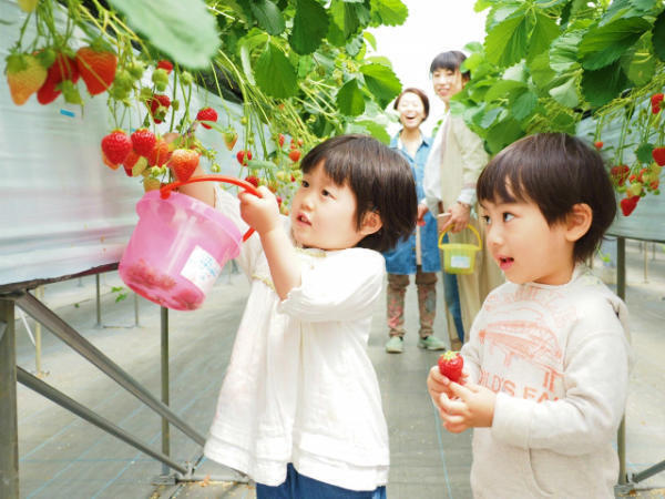 プレディ久松（久松小学校/学童指導員/常勤）の社会福祉士求人メイン写真1