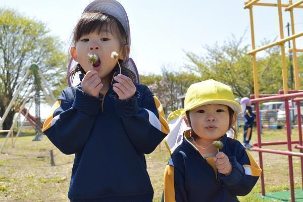 認可保育園東根市立さくらんぼ保育所（契約社員）の保育士求人メイン写真4