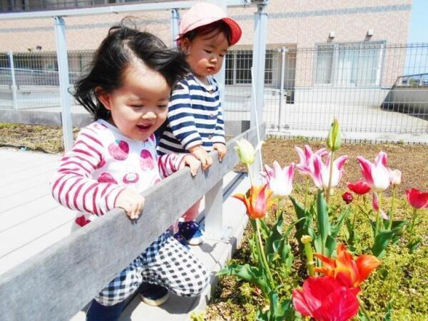 チャレンジキッズ保育園（常勤）の保育士求人メイン写真5