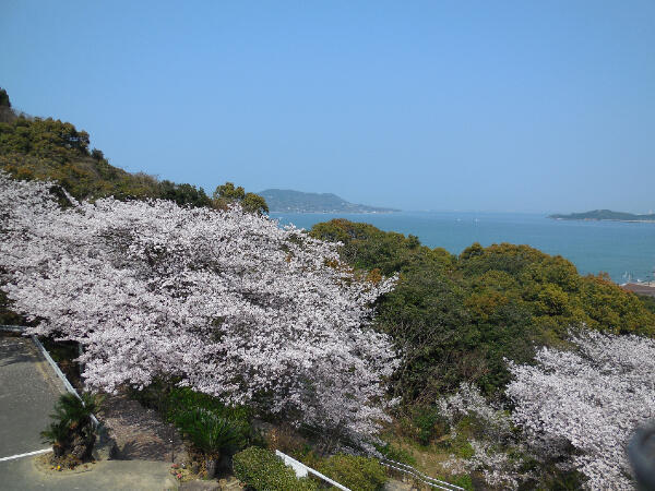 医療法人 白翠園 春日病院（常勤）の看護助手求人メイン写真2