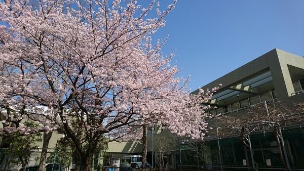 横浜市つたのは学園（常勤）の支援員求人メイン写真1