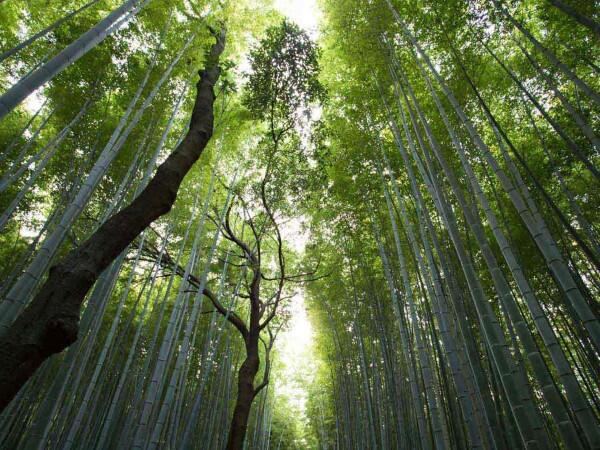 介護老人保健施設　ドリームヒルズ滝山（常勤）の理学療法士求人メイン写真4