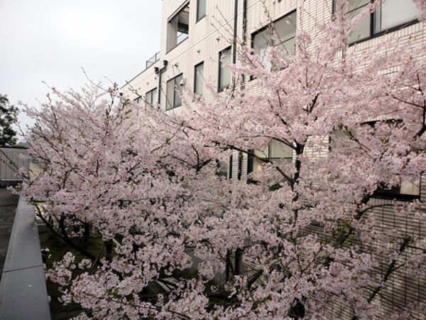 医療法人財団正友会　中村記念病院（受付事務/パート）の医療事務求人メイン写真2