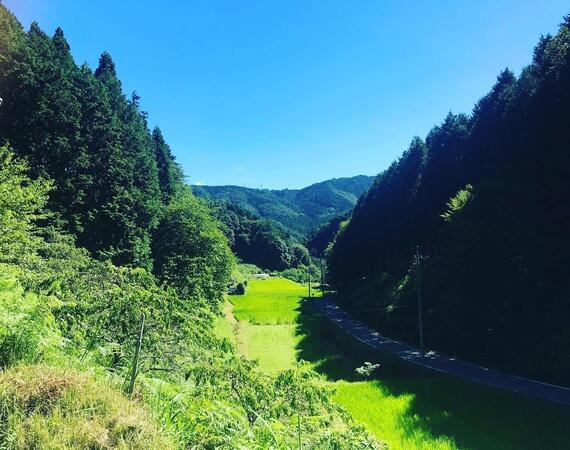 【豊田市山間部】訪問看護ステーションかえるの家（常勤）の看護師求人メイン写真5