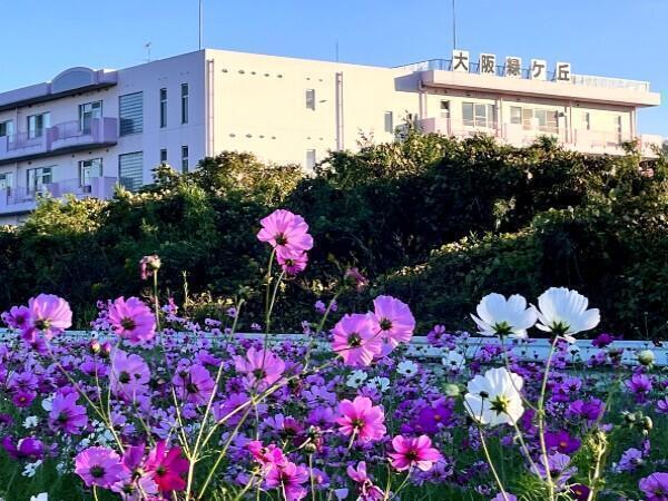 介護老人保健施設 大阪緑ヶ丘（常勤）の介護職求人メイン写真1