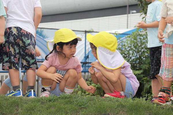 認可保育園コビープリスクールみさとたかの（契約社員）の保育士求人メイン写真5