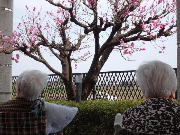 特別養護老人ホームむさし愛光園（常勤）の看護師求人メイン写真4