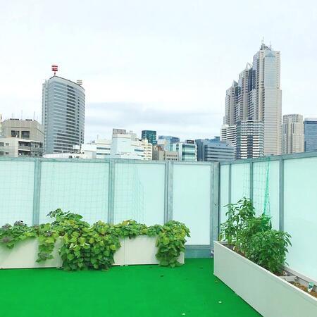 はるの小川ちとせ保育園（パート）の看護師求人メイン写真3