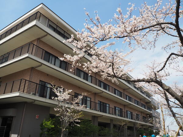 タムスさくら病院江戸川（常勤）の社会福祉士求人メイン写真4