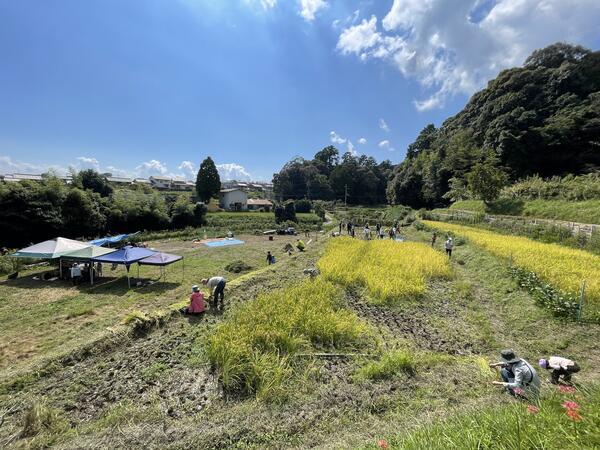 森のようちえん えくぼ保育園（子育て支援員・パート） のその他求人メイン写真3