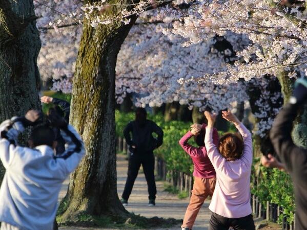 デイサービスセンターもみの木杉戸高野台（常勤）の介護福祉士求人メイン写真2