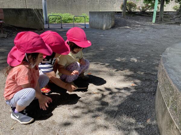 たまご第1保育園【保育補助/子育て支援員】のその他求人メイン写真2