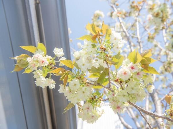 はらおか医院内科・循環器内科（常勤）の臨床検査技師求人メイン写真5