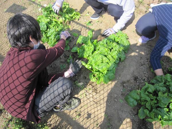 わたげワークス（常勤） の支援員求人メイン写真3