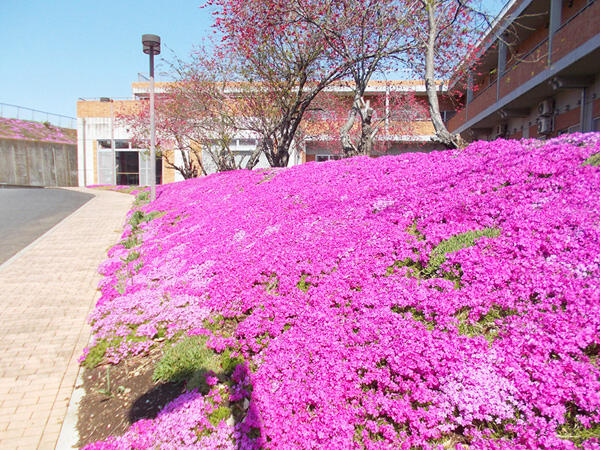 特別養護老人ホーム桐花園（パート）の准看護師求人メイン写真3