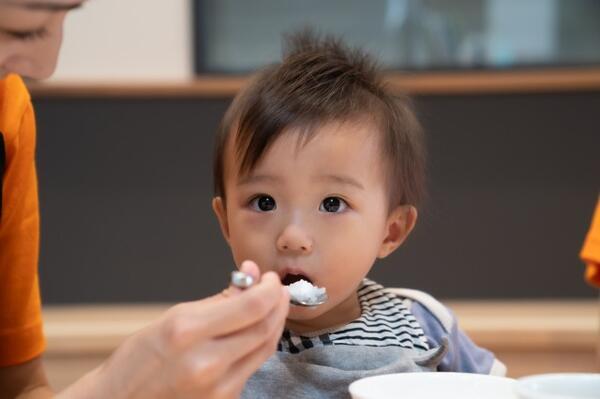 わんわん保育園（パート）の栄養士求人メイン写真3