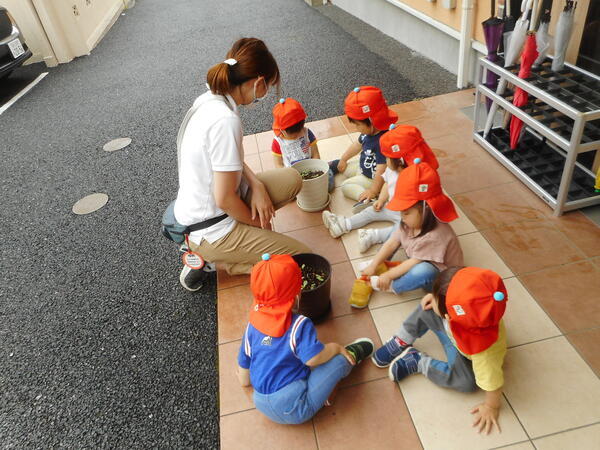 ここいく保育園碑文谷（産休代替職員/常勤） の看護師求人メイン写真2