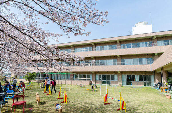 デイサービス 清風園（生活相談員/常勤）のケアマネジャー求人メイン写真4