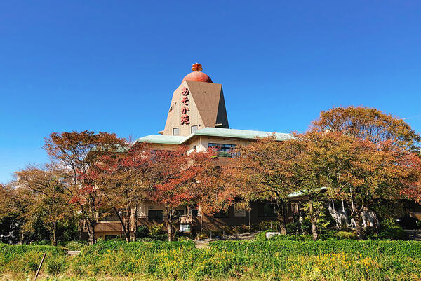 桜台池尻地域包括支援センター（嘱託職員）の保健師求人メイン写真1