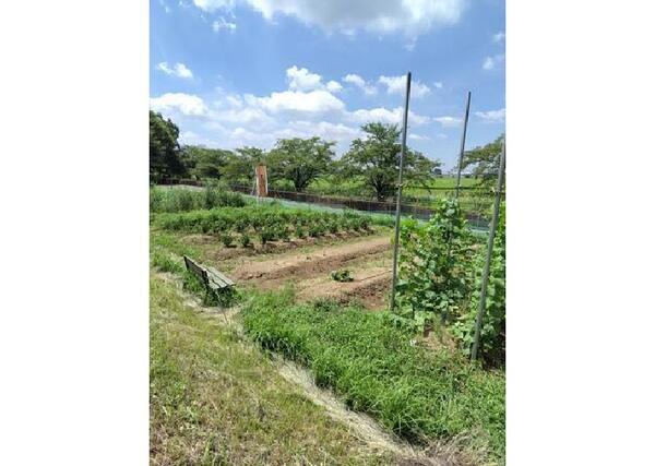 蓮田ナーシングホーム翔裕園（常勤）の理学療法士求人メイン写真2