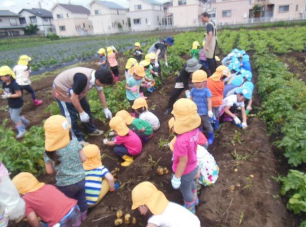 精華第二保育園（新卒/常勤）の保育士求人メイン写真2