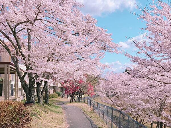 もみじヶ丘病院（総合事務/常勤）の一般事務求人メイン写真2