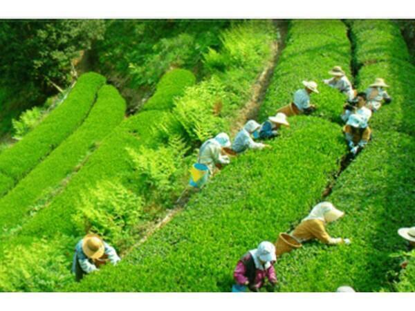 養護老人ホーム 天龍荘（常勤）の准看護師求人メイン写真2