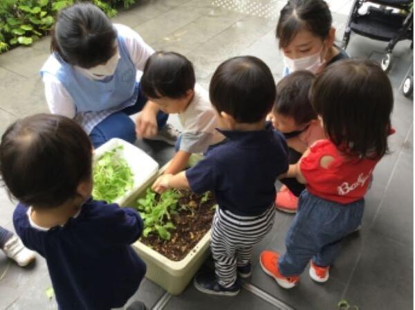 新田あすか保育園（施設長候補/常勤）の保育士求人メイン写真1