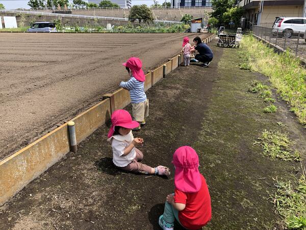 たまご第1保育園（保育補助/パート）のその他求人メイン写真3