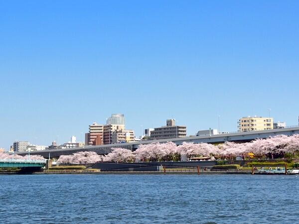 介護老人保健施設 ろうけん隅田秋光園（生活相談員/常勤） の介護職求人メイン写真2